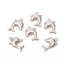 304 Stainless Steel Charms STAS-L244-34P