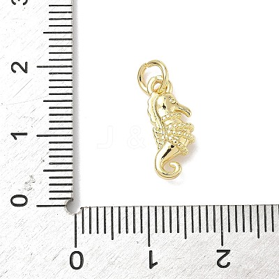Brass Micro Pave Cubic Zirconia Charms ZIRC-I356-13G-03-1