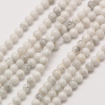 Natural Howlite Round Bead Strands G-A130-3mm-L02-1