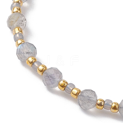 Adjustable Natural Labradorite & Glass Braided Bead Bracelet BJEW-JB10137-08-1