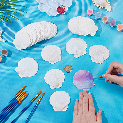 80Pcs Natural Shell Ornaments DIY-WA0001-03-1