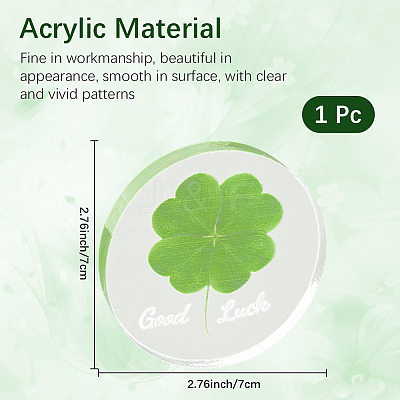 Acrylic Cabochons OACR-WH20008-02-1