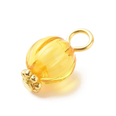 Transparent Acrylic Pendants PALLOY-JF01834-06-1