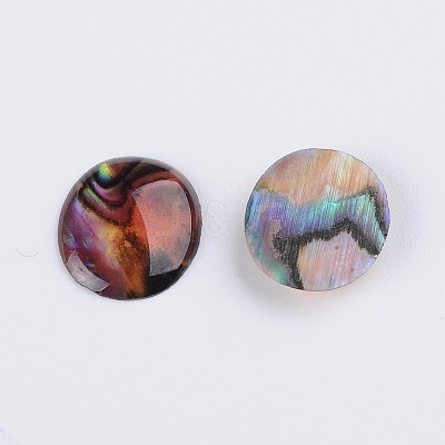 Oval Abalone Shell/Paua Shell Cabochons SSHEL-K002-12x10mm-03-1