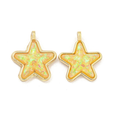 Translucent Resin Pendants KK-M291-24F-1
