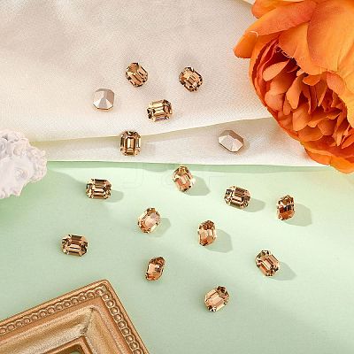Preciosa® MAXIMA Crystal Fancy Stones X-PRC-FD10-10330-1