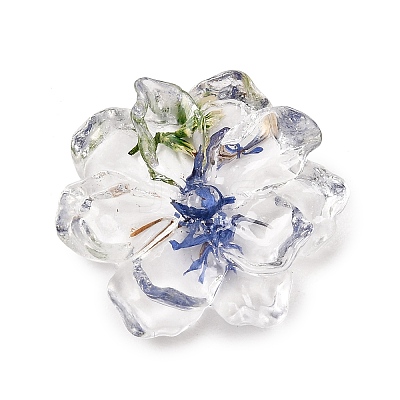 Transparent Resin Cabochons RE-CBA7537-01B-1