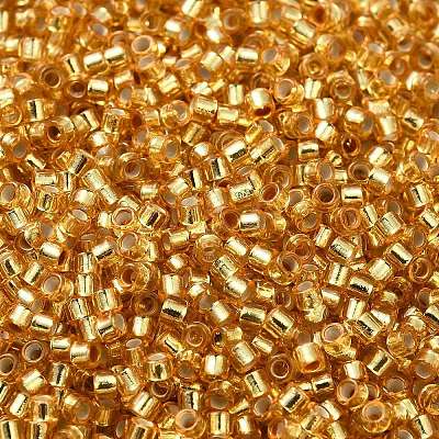 Glass Seed Beads X-SEED-S042-04B-12-1
