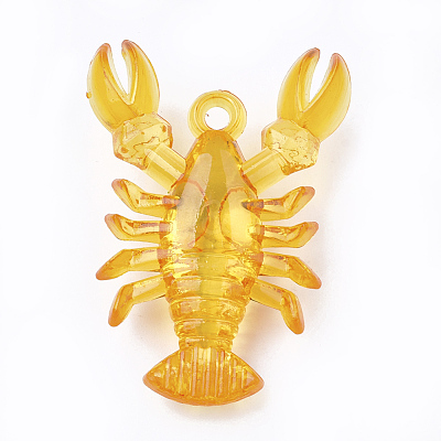 Transparent Acrylic Pendants X-TACR-S149-02-1