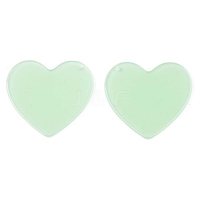 Translucent Cellulose Acetate(Resin) Pendants KY-T040-31B-1