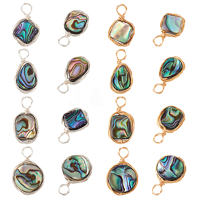 16Pcs 8 Styles Natural Abalone Shell/Paua Shell Pendants FIND-PH0008-89-1