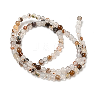 Natural Dendritic Agate Beads Strands G-A232-A01-01-1