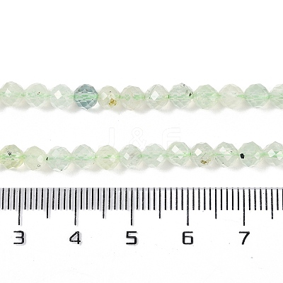 Natural Prehnite Beads Strands G-G139-A05-03-1