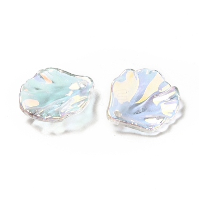 Transparent Acrylic Pendants X-MACR-C009-06-1