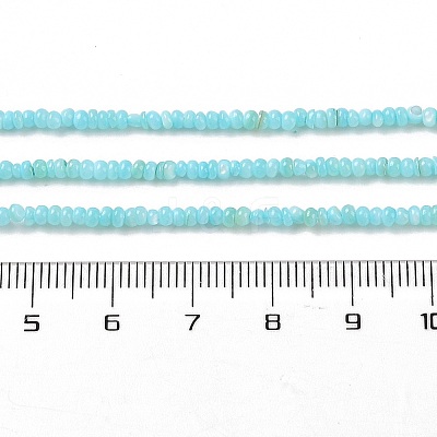 Natural Freshwater Shell Beads Strands SHEL-P017-01A-03-1