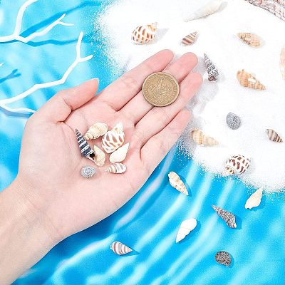 140Pcs 2 Style Natural Shell Beads SSHEL-FH0001-08-1