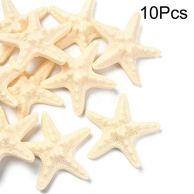 10Pcs Resin Decoden Cabochons CRES-YW0001-42A-1