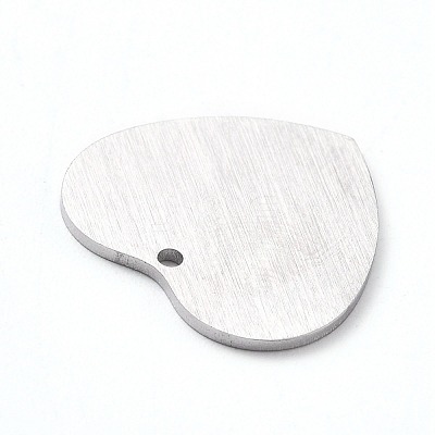 Tarnish Resistant 304 Stainless Steel Pendants STAS-F271-06D-P-1