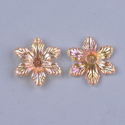 Transparent Acrylic Bead Caps TACR-T007-06-1