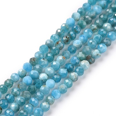 Natural Apatite Beads Strands X-G-E411-36-2mm-01-1