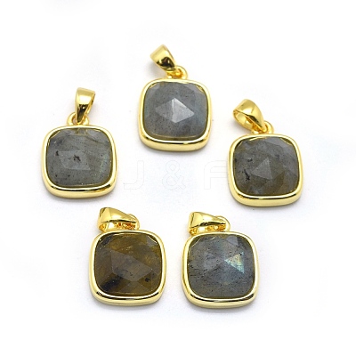 Natural Labradorite Pendants G-O176K-09G-1