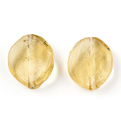 Transparent Handmade Lampwork Beads LAMP-T011-17-B04-1