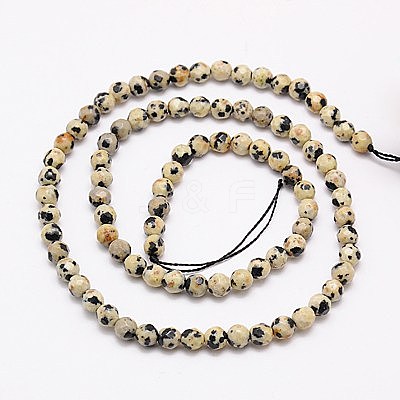 Natural Dalmation Jasper Beads Strands X-G-G545-11-1