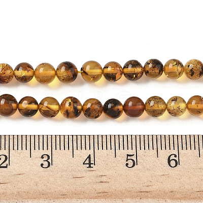 Natural Amber Beads Strands G-L095-B01-5mm-04-1