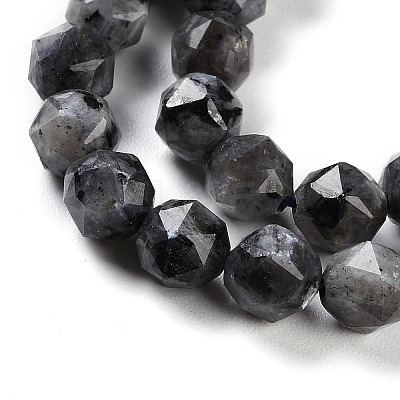 Natural Larvikite Beads Strands G-NH0021-A04-01-1