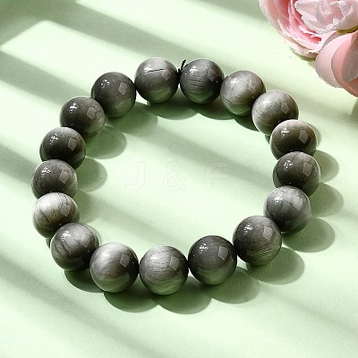 Grade AA Natural Eagle Eye Stone Round Beads Stretch Bracelets for Women BJEW-L712-B05-12mm-1