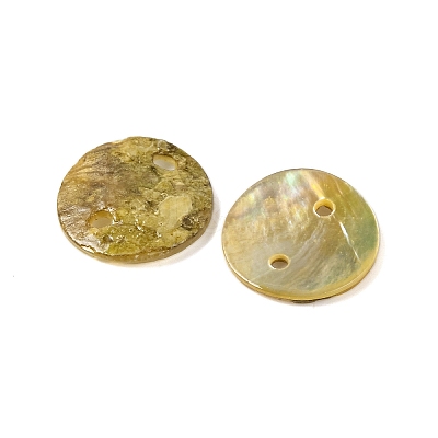 Spray Painted Natural Akoya Shell Connector Charms LS-BSHE-S304-17A-1