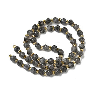 Natural Larvikite Beads Strands G-K387-A02-01-1
