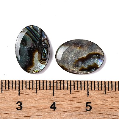 Natural Paua Shell Epoxy Resin Cabochons LS-SSHEL-S279-01B-1