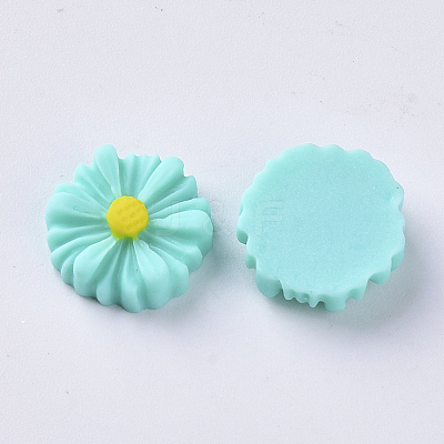 Resin Cabochons CRES-S306-014A-1