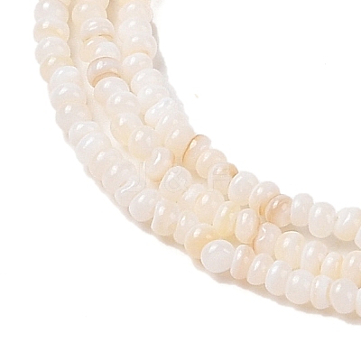 Natural Freshwater Shell Beads Strands SHEL-P017-01A-02-1