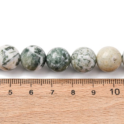 Natural Tree Agate Beads Strands G-T150-A09-12mm-1