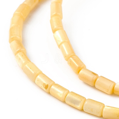 Natural Freshwater Shell Dyed Beads Strands SHEL-M018-12-01-1