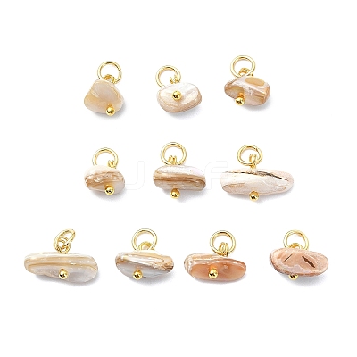 Natural Freshwater Shell Pendants PALLOY-JF05874-02-1