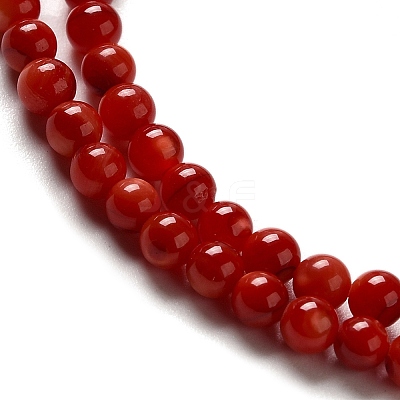 Natural Freshwater Shell Beads Strands SHEL-H003-03G-1