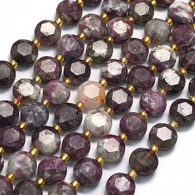Natural Plum Blossom Tourmaline Beads Strands G-C116-A156-01-1