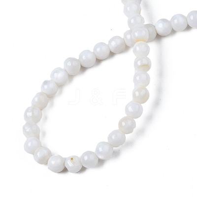 Natural Freshwater Shell Beads Strands BSHE-T009B-01A-1