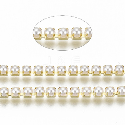 Brass Claw Chains CHC-Q012-SS8.5-01G-1