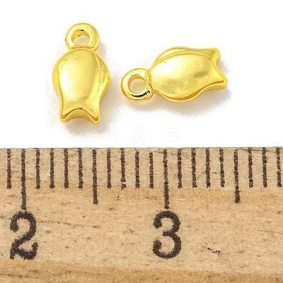 Rack Plating Brass Charms KKB-L075-013G-02-1