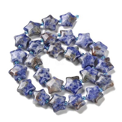 Natural Blue Spot Jasper Beads Strands G-NH0005-002-1