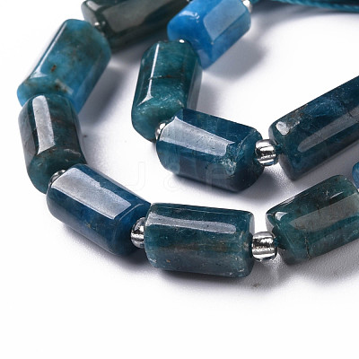 Natural Apatite Beads Strands G-S345-8x11-003-1