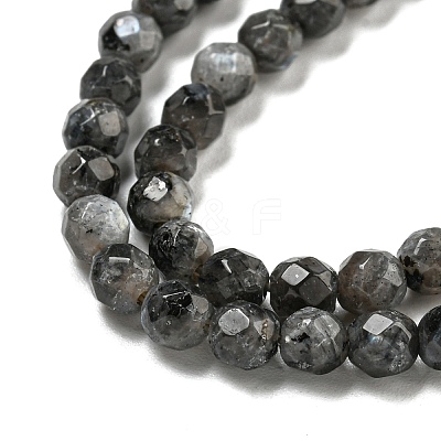 Natural Larvikite Beads Strands G-E571-A09-04-1