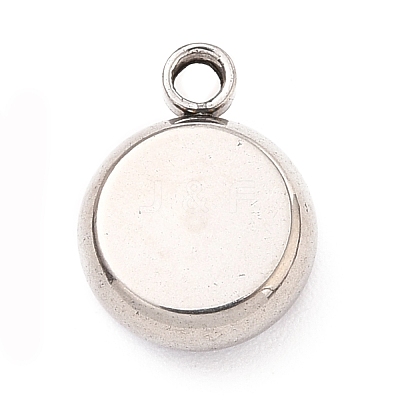 304 Stainless Steel Charms STAS-I165-04B-P-1