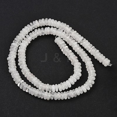 Natural Quartz Crystal Beads Strands G-Q159-B29-01-1