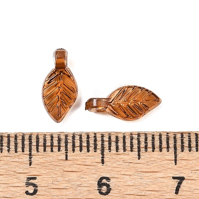 Transparent Acrylic Charms OACR-G054-02H-1