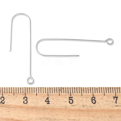 316 Surgical Stainless Steel Earring Hooks X-STAS-Z124-02A-P-1